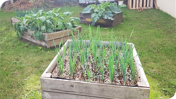 Aménagement De Carrés Potagers - Les Bernards O'Vert