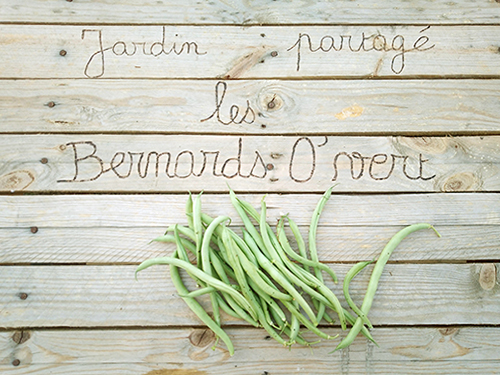 Jardin partagé Les Bernards O'Vert gravé sur bois avec haricots verts bio